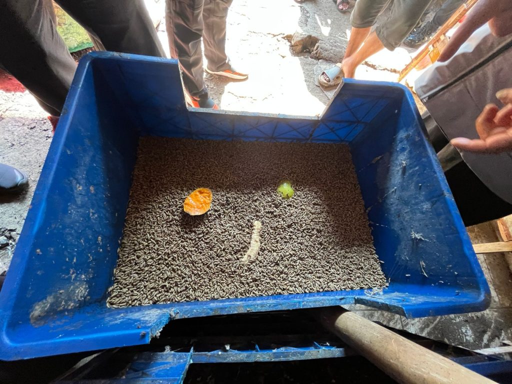 Arief Wibowo Dorong Pengelolaan Sampah Ramah Lingkungan, Tinjau Pusat Budidaya Maggot di Pasar Saraswati Ciledug - Arief Wibowo Dewan Pilihan Tangerang